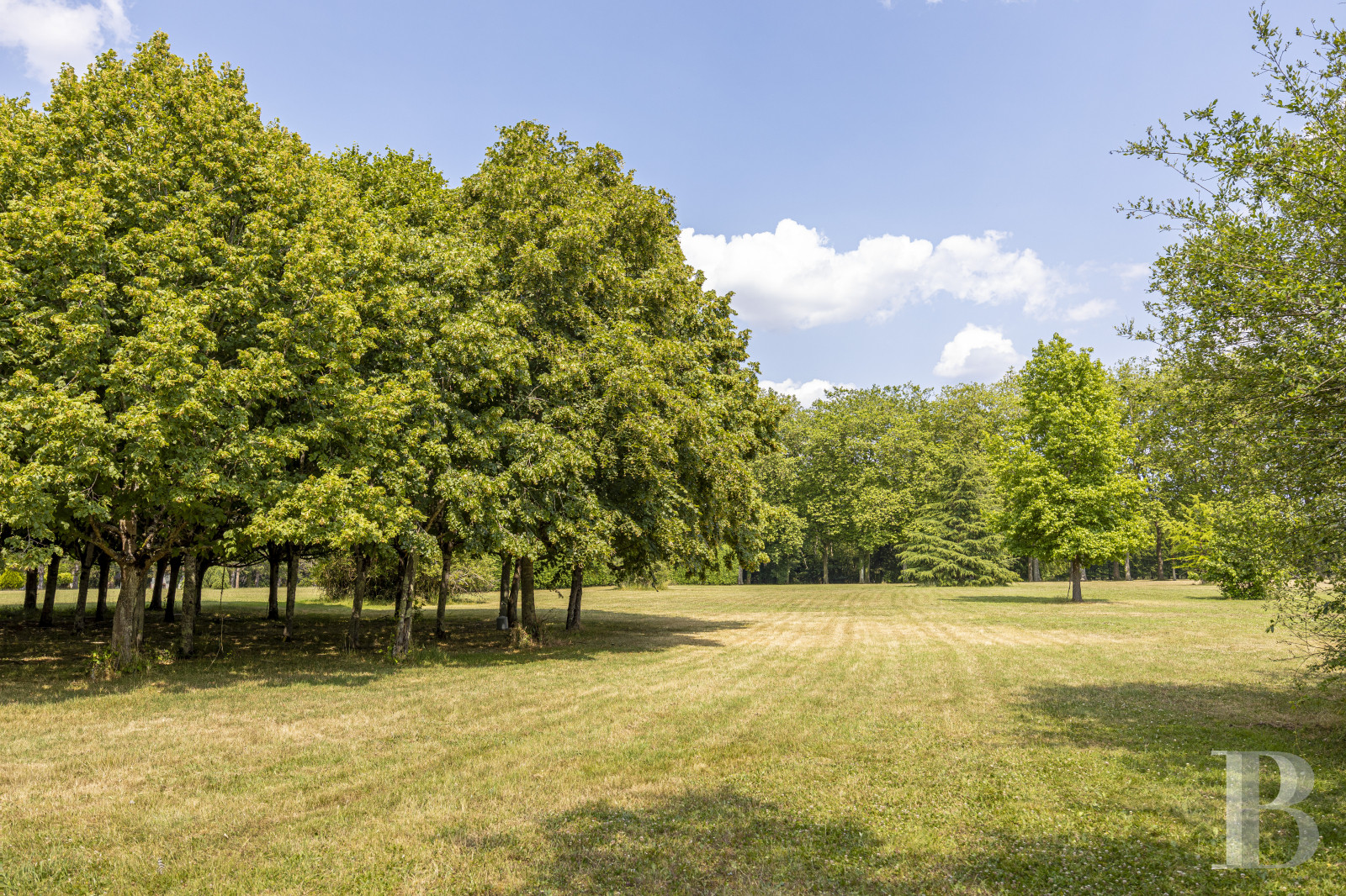 Au sud du Loiret, à Bonny-sur-Loire, un château d’inspiration Directoire entouré de bois - photo  n°39